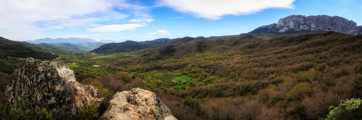 Hiking in the Spring Coastal Forest Hills of Sicily in Italy, Europe