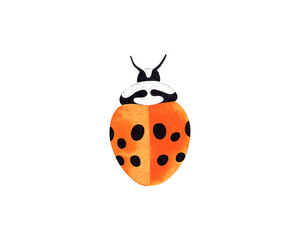 Obraz premium Hand painted watercolor illustration of a yellow ladybug insect top view. Isolated object on white background.