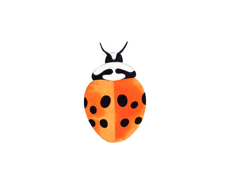 Hand painted watercolor illustration of a yellow ladybug insect top view. Isolated object on white background.