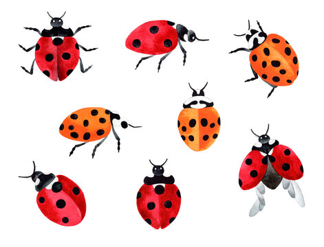 Hand painted watercolor illustration big set with red and yellow ladybugs. Isolated objects on white background.