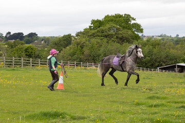 Young woman training her horse to move well, outdoors in field in English countryside, a lunge line...