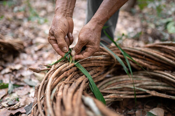 Anonymous worker tying woven branches