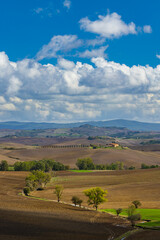 Fototapeta premium Typical Tuscan landscape near Siena, Tuscany, Italy