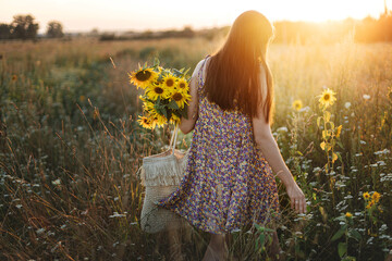 Beautiful woman gathering sunflowers in warm sunset light in summer meadow. Tranquil atmospheric...