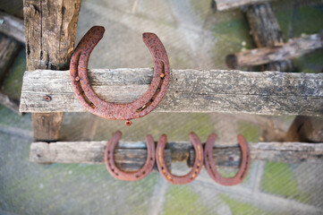 One large old metal horseshoe and three smaller ones nailed to a wooden ladder