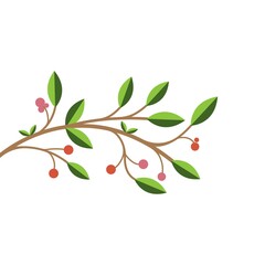 ornamental plant icon