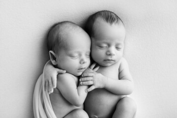 Tiny newborn twins boys in white cocoons on a white background. A newborn twin sleeps next to his brother. Newborn two twins boys hugging each other.Professional black and white studio photography. 