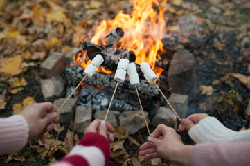 Camping and picnic concept. Close up of hands people frying marshmallow on fire in forest