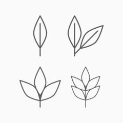 leaves icon, leaf vector, foliage illustration