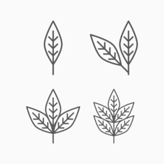 leaves icon, leaf vector, foliage illustration
