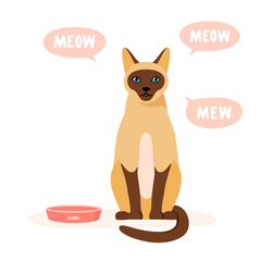 Hungry cat asks for food. Pet mews and demands food. Siamese cat sits near empty bowl. Flat style vector 