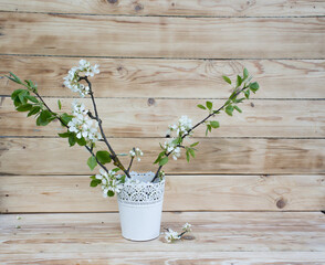 cherry blossoms in a white vase on a rustic background.