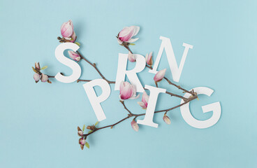Spring letters with white and pink magnolia tree flowers branch against pastel blue background....