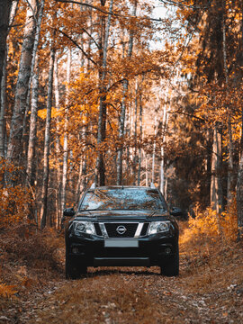 Bryansk, Russia; october 5, 2021. Nissan Terrano in the autumn forest