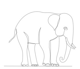elephant drawing by one continuous line, sketch, vector