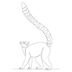 lemur one continuous line drawing, sketch, vector