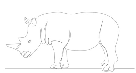 rhinoceros one continuous line drawing, sketch, vector