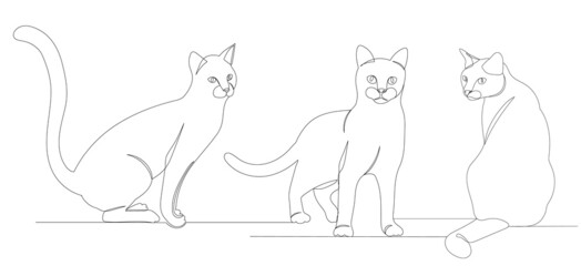 Fototapeta na wymiar cats sitting one continuous line drawing, sketch, vector
