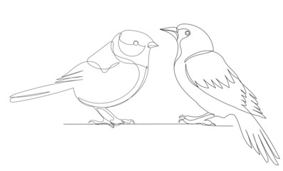 birds drawing in one continuous line, sketch, vector