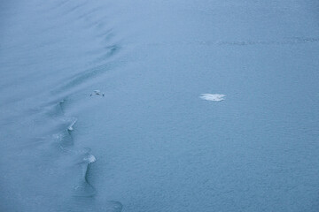 Ice chunks and ripples in the water at Glacier Bay, Alaska, USA