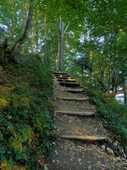 Obraz premium stairs of the Pieniny Mountains