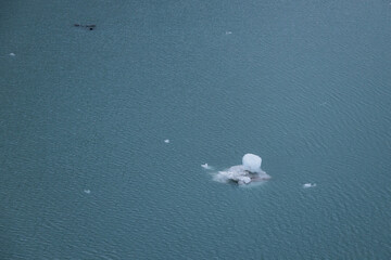 Ice chunks in the water at Glacier Bay, Alaska, USA
