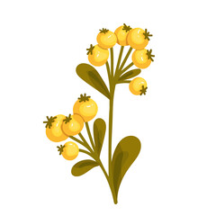 Yellow forest berries.Cartoon vector graphics.