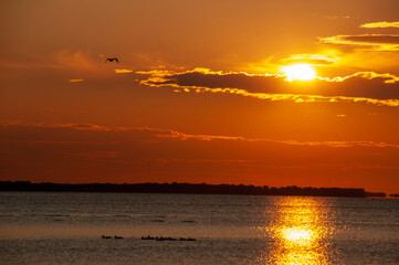 Sunrise over Lake Ontario with birds in the foreground