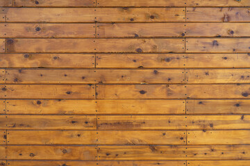 Natural wood paneling with knots and nails in a honey brown color