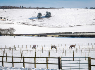 Snow on the North Downs, Kent, UK