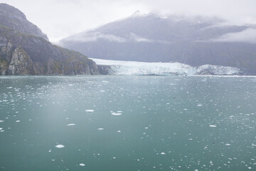 Ice chunks in the water and glacier in background at Glacier Bay, Alaska, USA