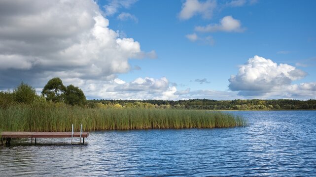 An open river landscape with banks overgrown with catail. Swimming bridges in the foreground. The concept of summer holidays near the river.