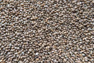 .hemp seeds. Medicinal properties of marijuana seeds