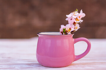beautiful spring blossom twig of almond tree in a pink cup on the table