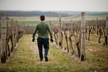 Back of man working on vineyard.