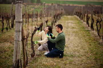 Couple working on vineyard in early spring.