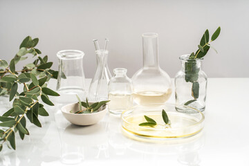 Alternative natural medicine and glassware, flasks and petri bowl. Alternative medicine herbs. Natural beauty skin care products. Concept research and development.