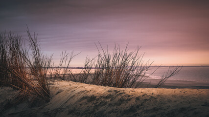 Dune with dark brown dunegrass in foreground and the sea under a sunset sky in the background in the Netherlands