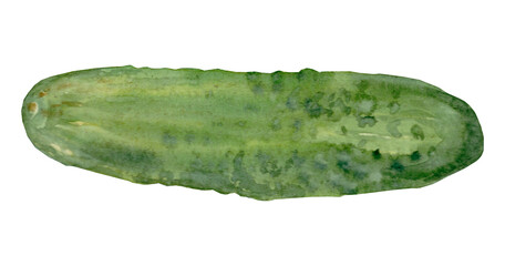 Watercolor cucumbers set. Single isolated elements