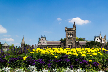 Obraz premium toronto, ontario, canada