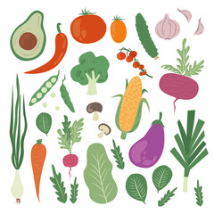 Vegetables.Vector food illustrations: tomato, beet, bay leaf, pepper, eggplant, cucumber, broccoli, carrot, pumpkin, avocado, onion and rosemary