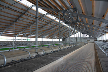 Large cowshed for dairy cows in the final stage of construction