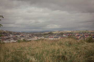 The nature of Scotland. Dalgety Bay Coast