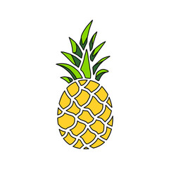 Pineapple fruit. Vector illustration  flat icon isolated on white.