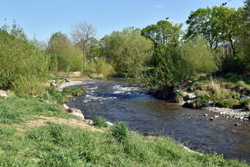 Frühling an der Dreisam in Freiburg