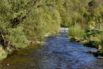 Obraz premium Frühling an der Dreisam in Freiburg