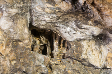 struktura ściany jaskini olsztyńskiej