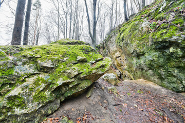 skały przy jaskini olsztyńskiej