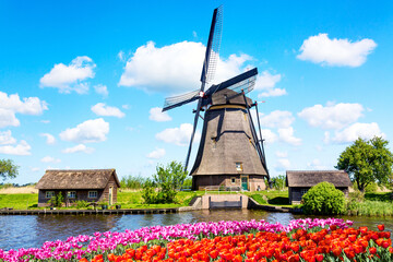 Colorful spring landscape in Netherlands, Europe. Famous windmill in Kinderdijk village with a tulips flowers flowerbed in Holland. Famous tourist attraction in Holland