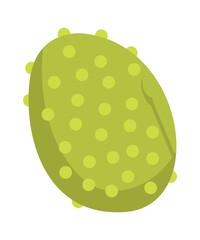 Avocado icon. Healthy food. Vector illustration